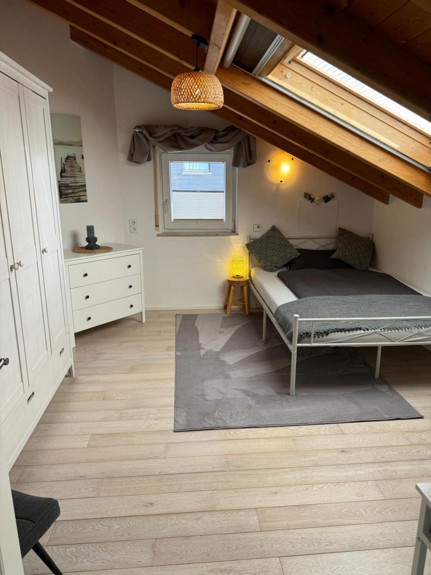 Spacy 3 Bedroom Plus Sleeping Couch Apartment Work&Travel Close To Heidelberg Dielheim Eksteriør billede